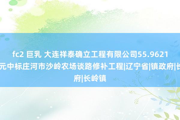 fc2 巨乳 大连祥泰确立工程有限公司55.962189万元中标庄河市沙岭农场谈路修补工程|辽宁省|镇政府|长岭镇