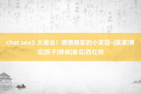 chat sex5 太调治！晒晒咱家的小菜园~|蔬菜|黄瓜|茄子|辣椒|香瓜|西红柿
