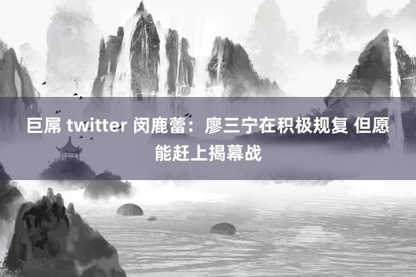 巨屌 twitter 闵鹿蕾：廖三宁在积极规复 但愿能赶上揭幕战