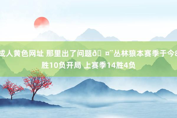 成人黄色网址 那里出了问题🤨丛林狼本赛季于今8胜10负开局 上赛季14胜4负