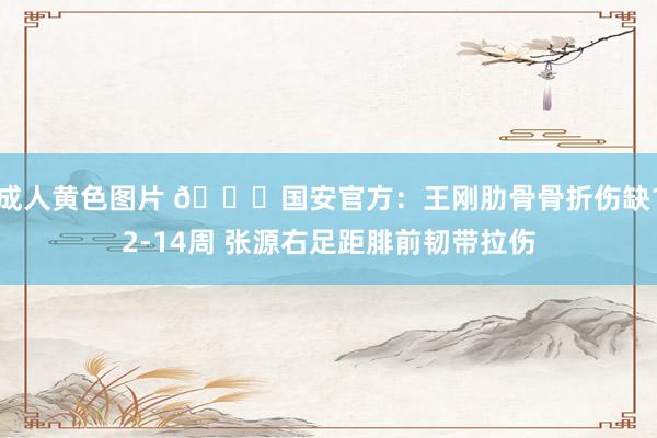 成人黄色图片 🚑国安官方：王刚肋骨骨折伤缺12-14周 张源右足距腓前韧带拉伤