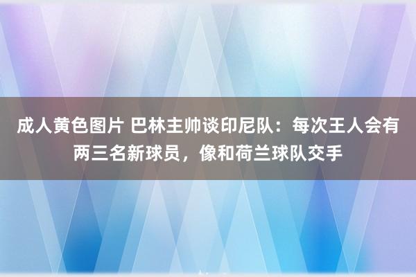 成人黄色图片 巴林主帅谈印尼队：每次王人会有两三名新球员，像和荷兰球队交手